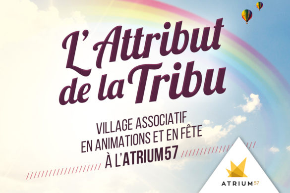 Attribut01