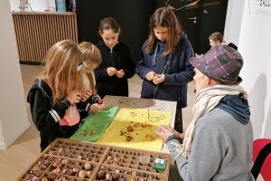 Atlelier Découverte